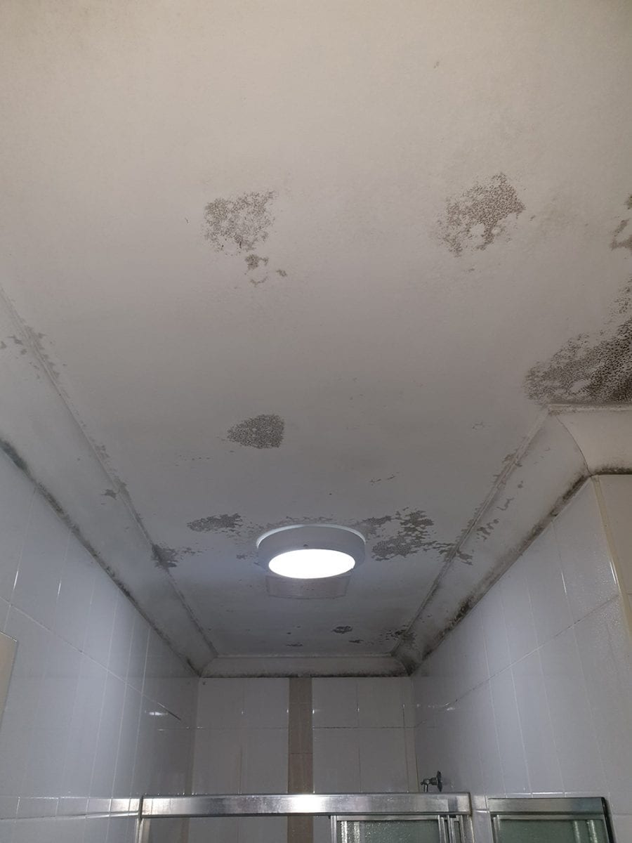 Learn How To Remove Mould From Ceilings Mould Removal Australia