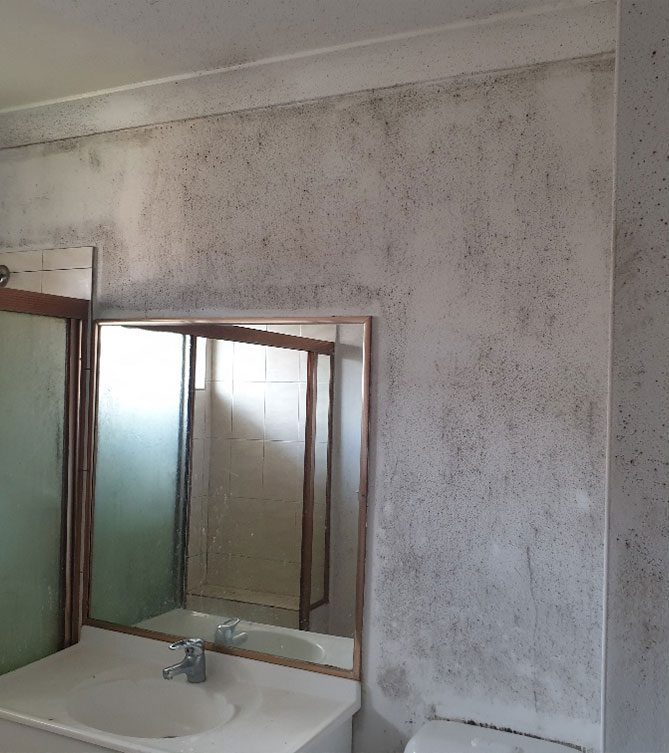 About Us Mould Removal Australia